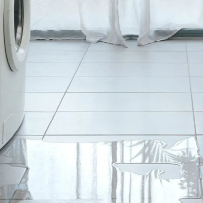 Appliance Leak Cleanup in Laurel Bay, SC