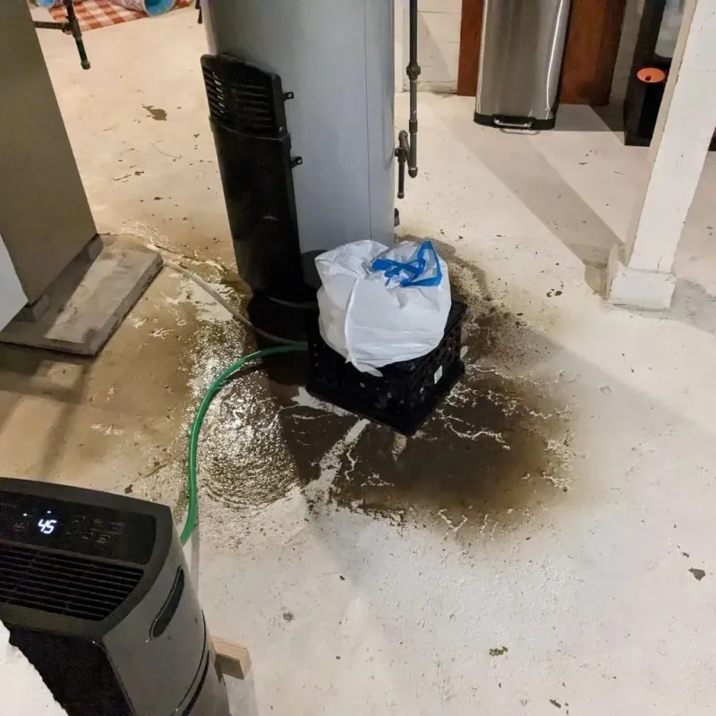 Sewage Backup Cleanup Service in Laurel Bay, SC